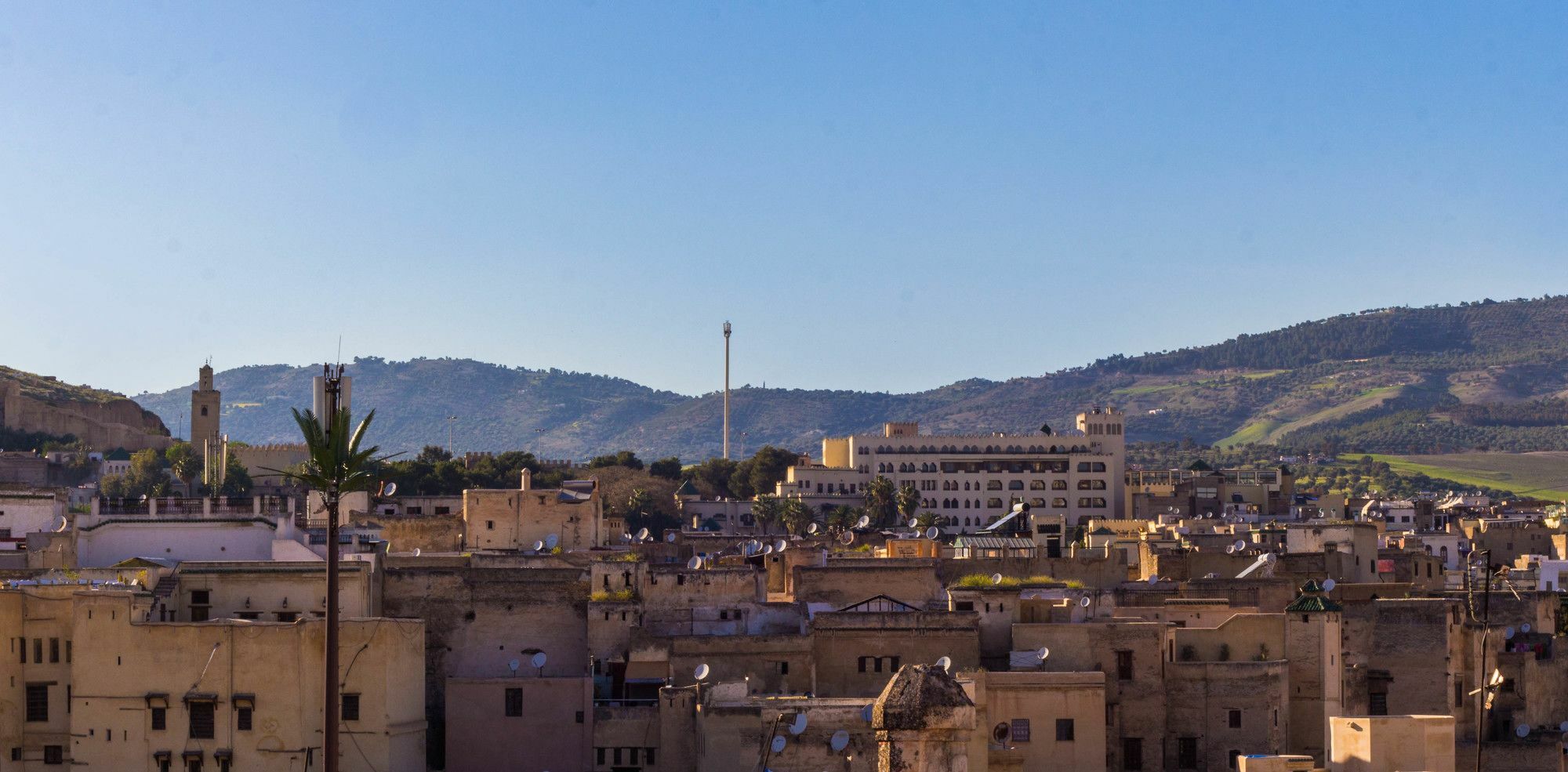Riad Taha เฟส ภายนอก รูปภาพ