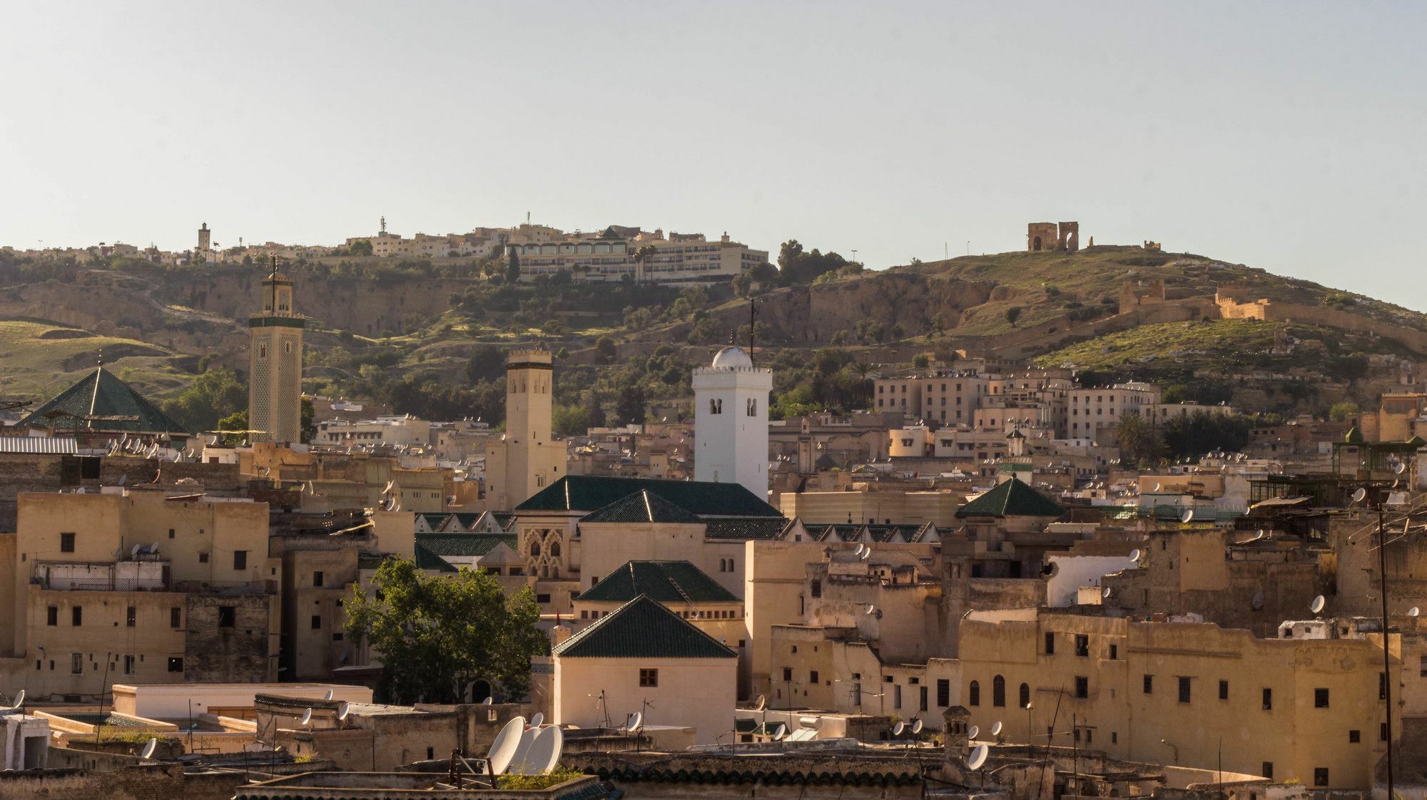 Riad Taha เฟส ภายนอก รูปภาพ