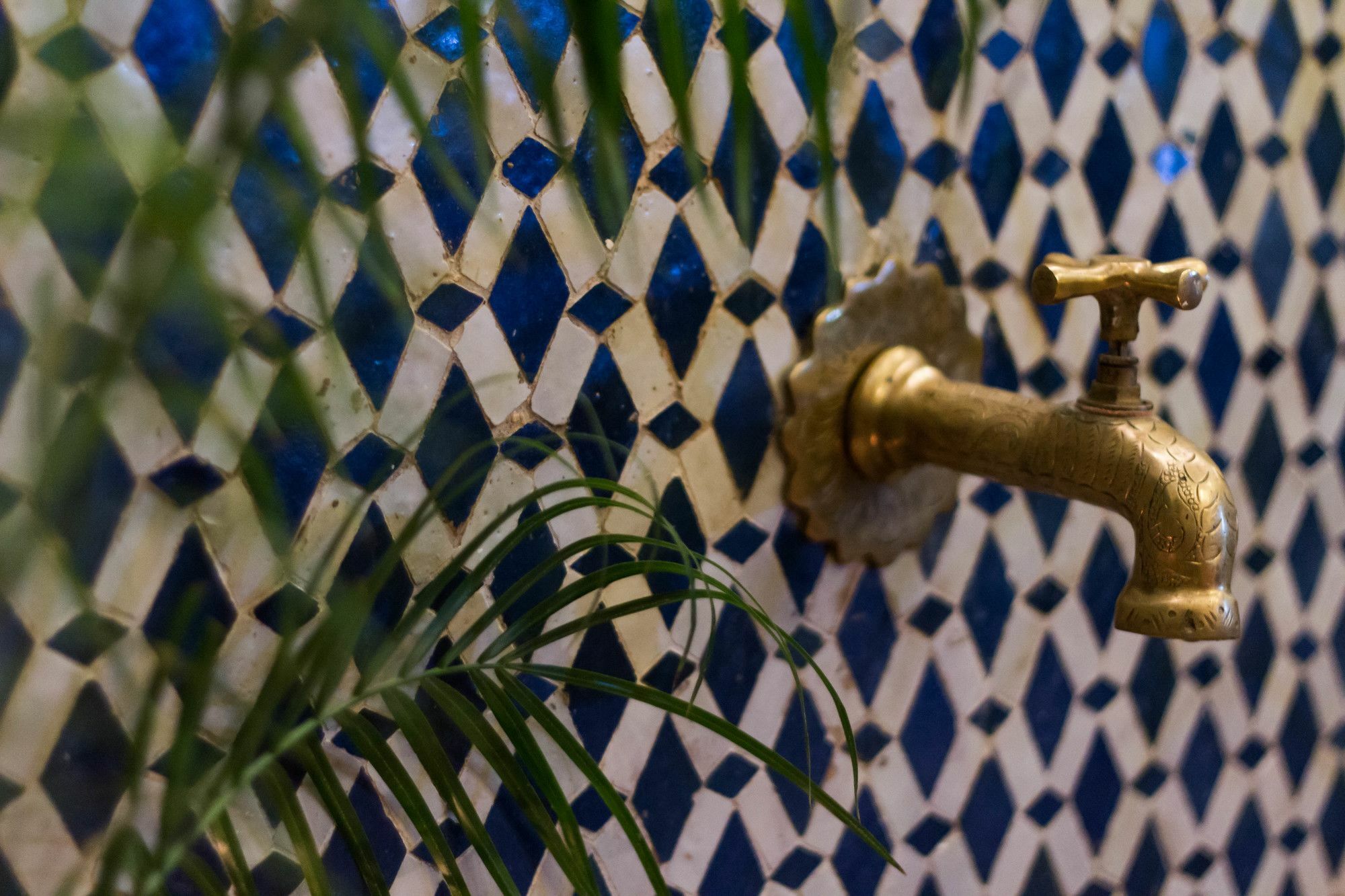 Riad Taha เฟส ภายนอก รูปภาพ